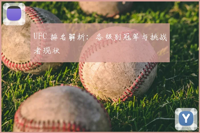 UFC 排名解析：各级别冠军与挑战者现状
