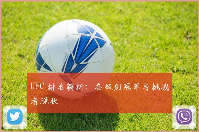 UFC 排名解析：各级别冠军与挑战者现状
