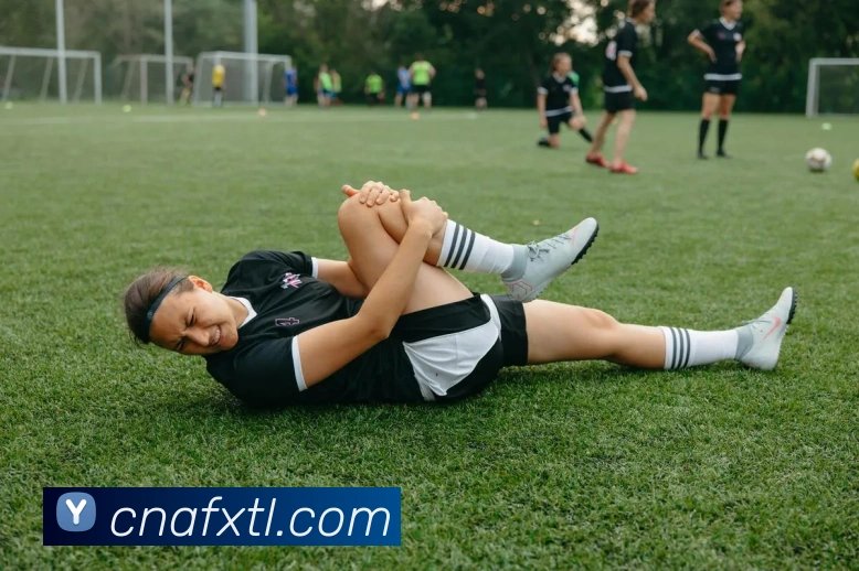 App功能展示图